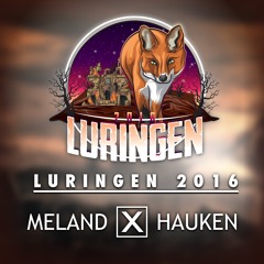 Luringen 2016 - Meland x Hauken