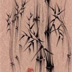Bamboo Dreams