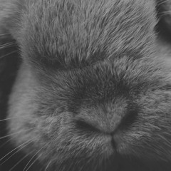 Dont Wanna Know Remix