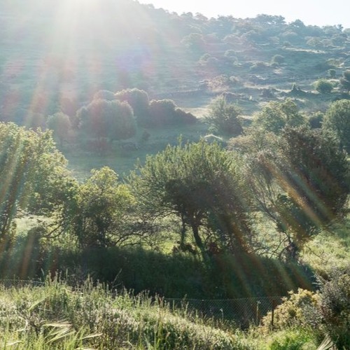 Early Morning in Greece