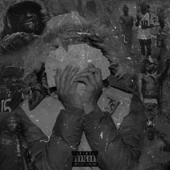1dar2real - Bankroll Fresh