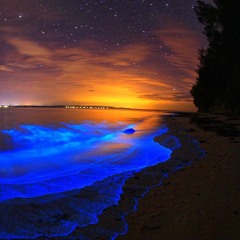 Sophia [Prod. by Hanto]