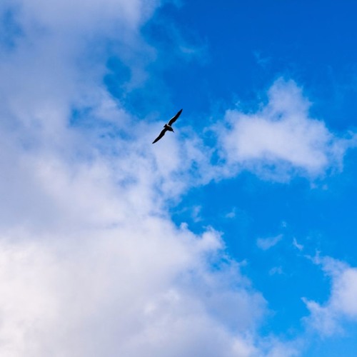 임재범.. 비상..