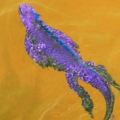 Latrondex - Marine Iguana Dive