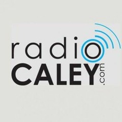 Reptillia (Live Acoustic)