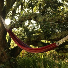 You Knew He Was Trouble