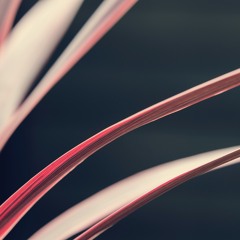 Turning the Page 2.0: A Guided Meditation