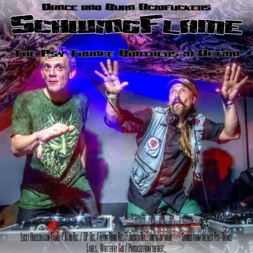 01 - SchwingFlame - Come Out Of The Muckelhöhle