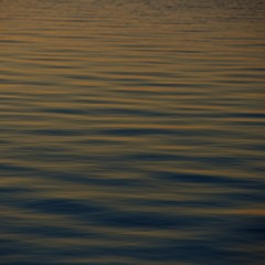 Waves