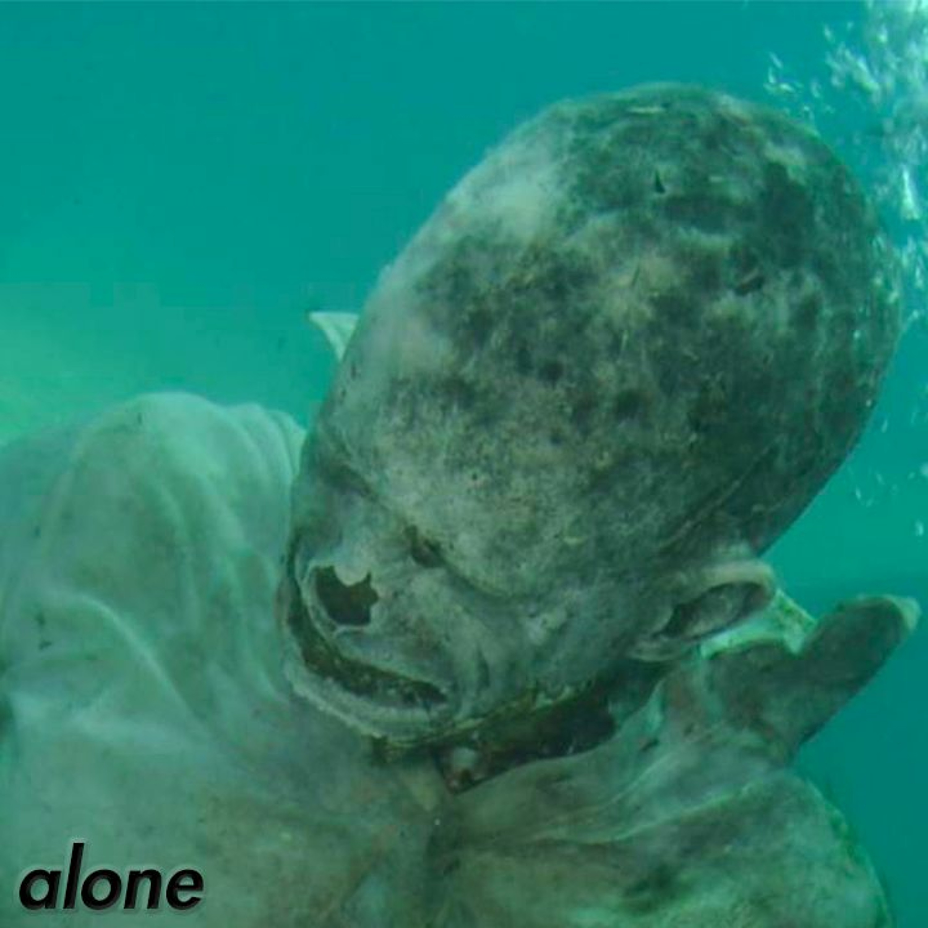 alone episode artwork