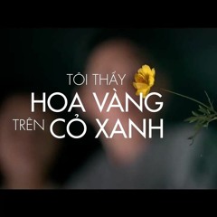 Tôi Thấy Hoa Vàng Trên Cỏ Xanh - Bằng Kiều
