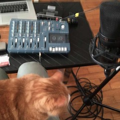 Angeles (Elliott Smith Cover)