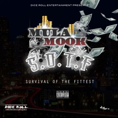 Mula Mook-Survival Of The Fittest