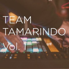 Team Tamarindo Vol. 1