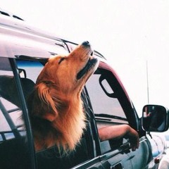 on the road to summer