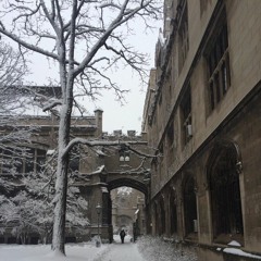 Late Winter Studying