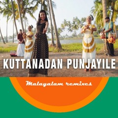 Kuttanadan Punjayile - Kerala Boat Song (Vidya English Remix) (ft. Jomy George & Shankar Tucker)