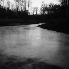 Tropy - Some Sort Of Trouble And The New Artery