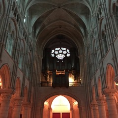 13.3.2016cathedraledelaon