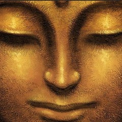 Спонтанните проявления на живота