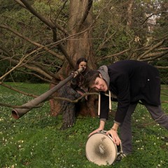 Fast Elephants Short Track