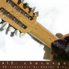 Snapshot 15 Charango
