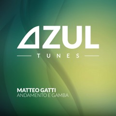 Matteo Gatti - Andamento E Gamba (Original Mix)