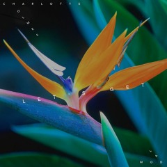 Deep House, ChillOut