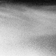 Mauerblümchen 001 (Edits)