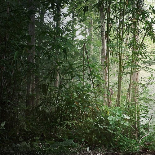 BeatfarmerTikki Edits