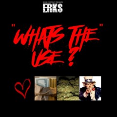 What's The Use- Erks
