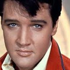 Meeting Elvis Tonight