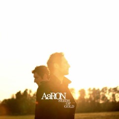 AaRON - Seeds of gold