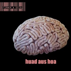 Karl Stirner - Huad Aus Hoa (Stirner & Seidl Remix)