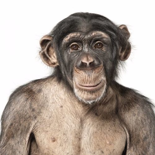 Random Sounds(Experimental)(Final)