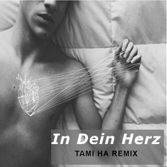 In Dein Herz (Tami Ha Remix)