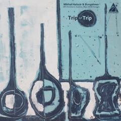 Mikhail Kobzar, Bungalowa - Trip Or Trip (Original Mix)  (cut)