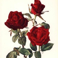 Femme Fatale feat. Ari Lindo