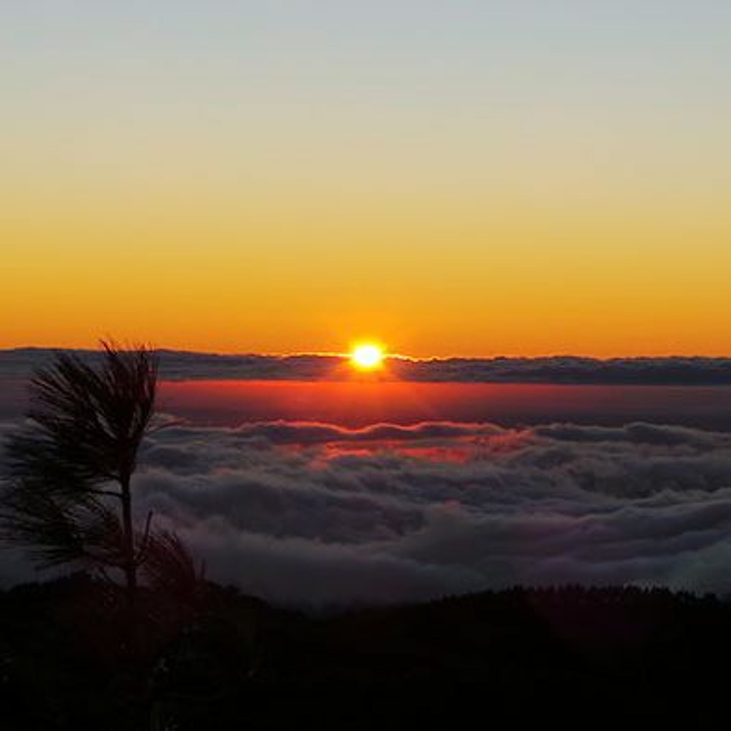 Adventure Gran Canaria