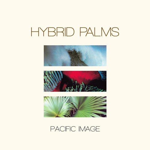 Hybrid Palms - Ocean Plaza (From Pacific Image)