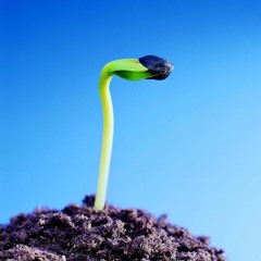 Agent Hooper - Spring It Is 2016