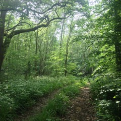 MS //  acapella Alt-j cover