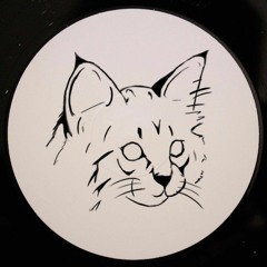 Leusha • DJ set • LeMellotron.com