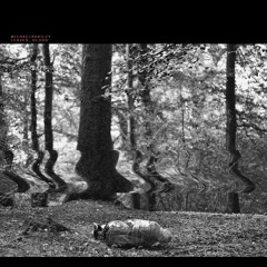 MICHAELBRAILEY - Leaver, Gloss (Ollie Macfarlane Remix)