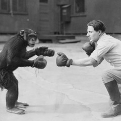 From The Ring To The Octogon