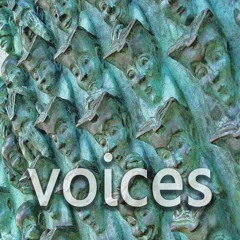 Voices by Excit