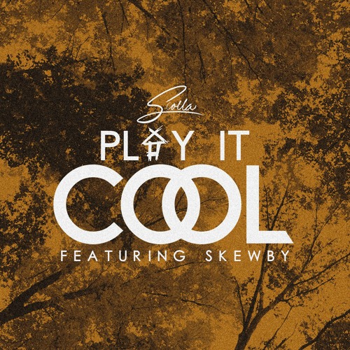 Play It Cool (Feat Skewby) [Prod. mindlabs & iRocksays]