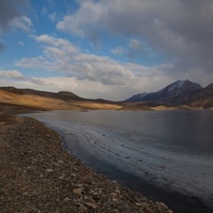 Martin Garrix - Animals (Fabu & Fabady Remix) [FREE DOWNLOAD]