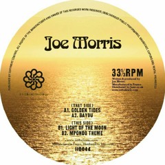 DC Promo Tracks #14: Joe Morris "Light Of The Moon"