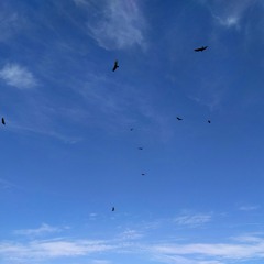 No Ad Lib (Prof - Motel instrumental)